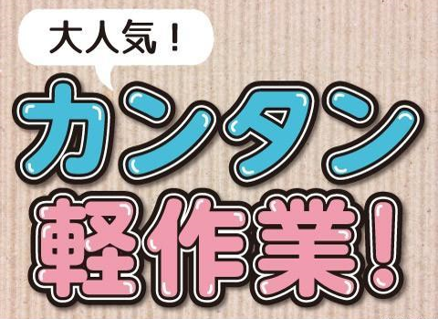 座ってゆっくり！お薬の目視検査／日勤・土日祝休み