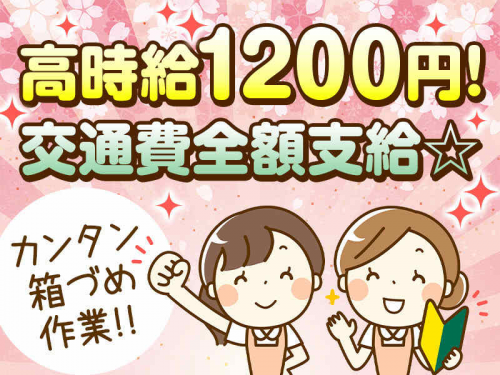 「座り作業」ペン型医療材料の箱詰め/日勤・土日休み